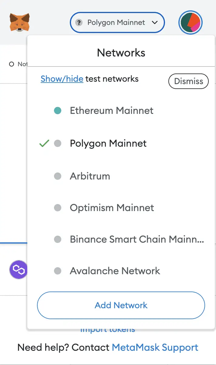 Étape 1: Ouvrez le site web Polygonscan