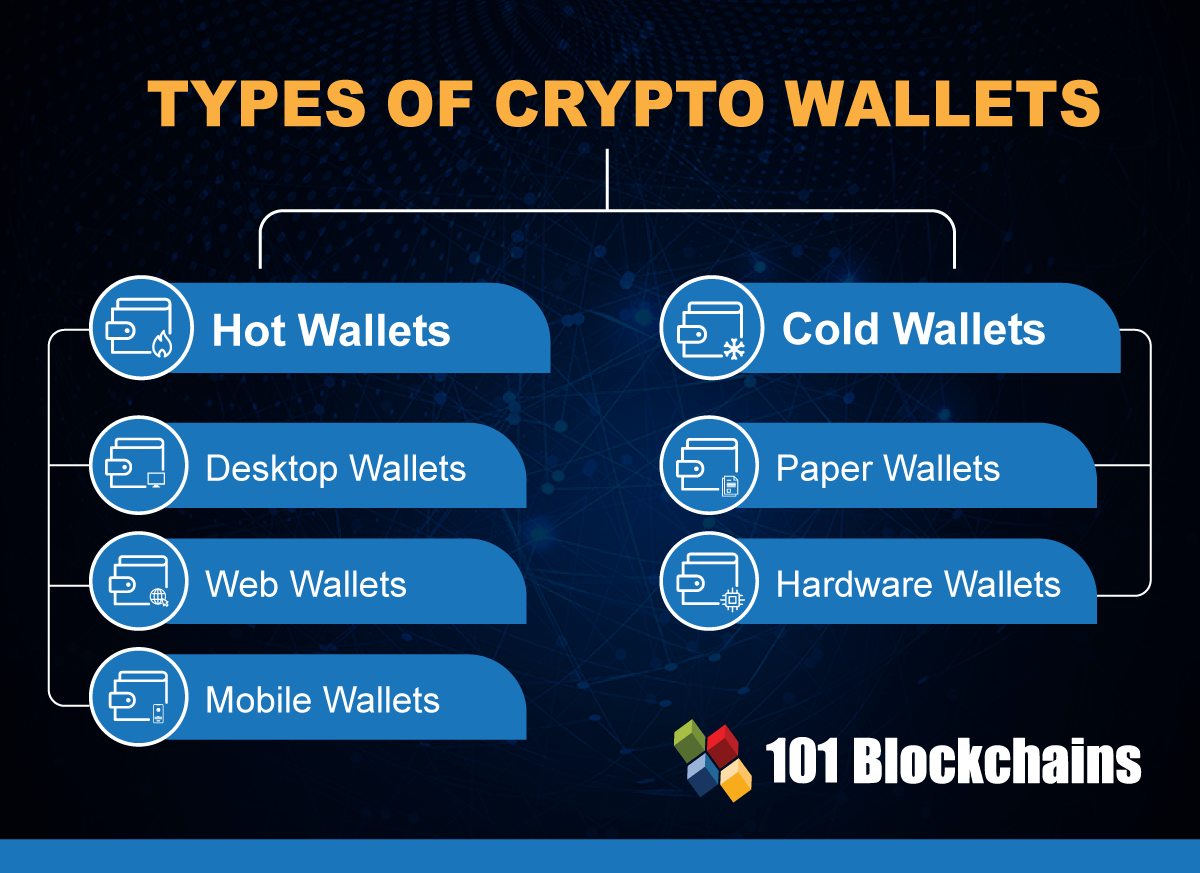 Différents Types De Portefeuilles De Crypto Expliqués Tout Ce Que Vous Devez Savoir Wallet 